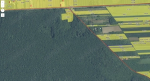 `Teren cu dubla deschidere, langa padure, Snagov - Strada Parcului  - imagine 3