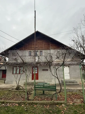 Proprietate completa in Sacuieni- Doua Case + Anexe 