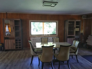 Casa /Cabana De Vanzare, 1000 Mp Teren, Ibanesti - imagine 2