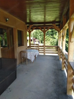 Casa /Cabana De Vanzare, 1000 Mp Teren, Ibanesti - imagine 4