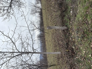 Teren intravilan Baia de Fier - imagine 2