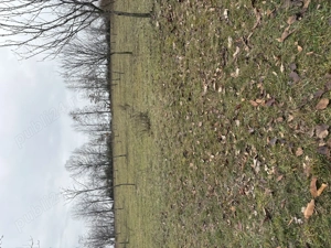 Teren intravilan Baia de Fier - imagine 3