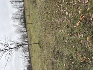 Teren intravilan Baia de Fier - imagine 4