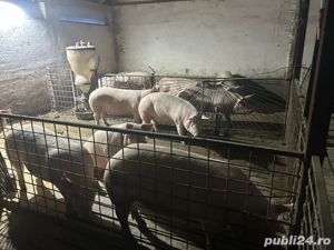 de vanzare - imagine 3