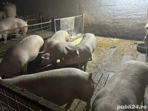 de vanzare - imagine 4