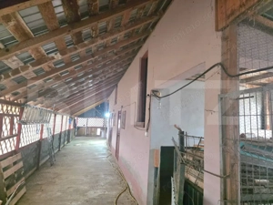 Casă parter 145 mp + teren 1.749 mp • Mircea Vodă - imagine 12