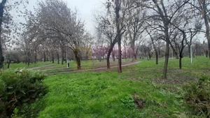 Apartament 2 camere Parcul Tineretului - imagine 9