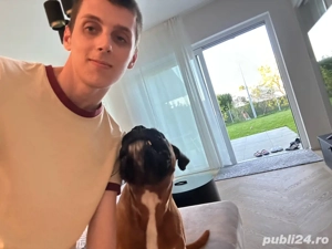 pet sitter constanta