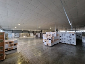 Hala industriala 1400 mp, spatiu depozitare logistica birouri acces TIR - imagine 5