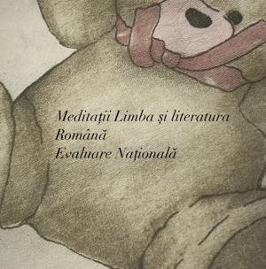 Meditații limba și literatura Română