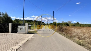 Corbeanca 5000 mp, deschidere 22 m la Drum asfaltat, padure, utilitati la limita - imagine 5