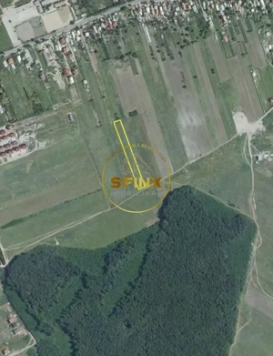 Corbeanca 5000 mp, deschidere 22 m la Drum asfaltat, padure, utilitati la limita - imagine 4