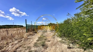 Corbeanca 5000 mp, deschidere 22 m la Drum asfaltat, padure, utilitati la limita - imagine 6