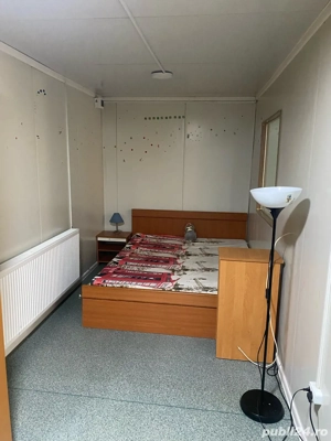 Inchiriez casa in Ineu Arad - imagine 5