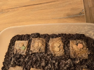 Micro vierimi si grindale hrana vie - imagine 2