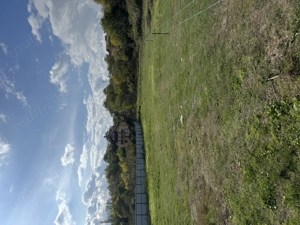 Vând teren intravilan in Somova  - imagine 3