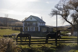 Locație cabană pentru evenimente și cazare - imagine 3