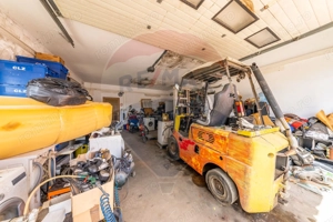 Spațiu industrial cu potential de vanzare in Paulis,Arad - imagine 5