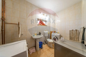 Spațiu industrial cu potential de vanzare in Paulis,Arad - imagine 9