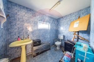 Spațiu industrial cu potential de vanzare in Paulis,Arad - imagine 15