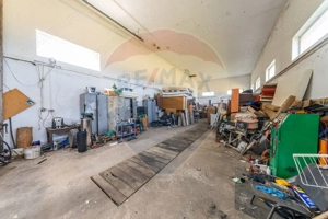 Spațiu industrial cu potential de vanzare in Paulis,Arad - imagine 8