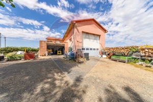 Spațiu industrial cu potential de vanzare in Paulis,Arad - imagine 4