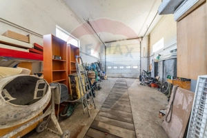 Spațiu industrial cu potential de vanzare in Paulis,Arad - imagine 7