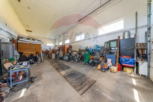 Spațiu industrial cu potential de vanzare in Paulis,Arad - imagine 6