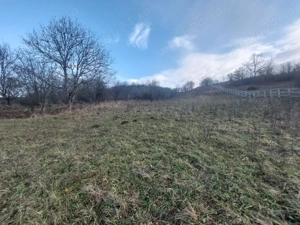 Casa de vânzare la Presaca - imagine 6