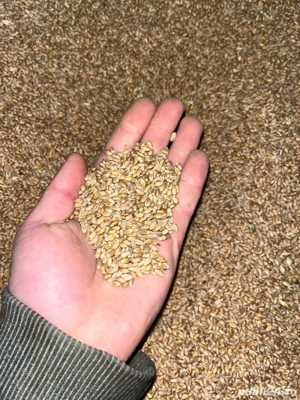 Vand grau calitate superioara 