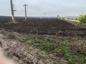 Teren agricol extravilan Tiganasi