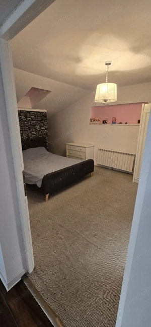 BRASADAS vinde casa  tip P+M in Bercu Roșu. - imagine 7