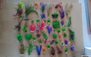 Plante acvariu (200buc) - imagine 5