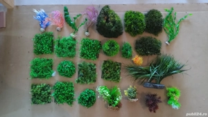 Plante acvariu (200buc) - imagine 4