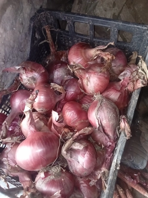 Vand produse de porc bio  - imagine 4