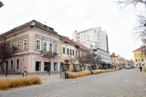 Spatiu Comercial Satu Mare