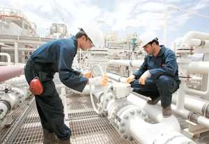 RECRUTARE   muncitori experimentati (Italia) - imagine 2