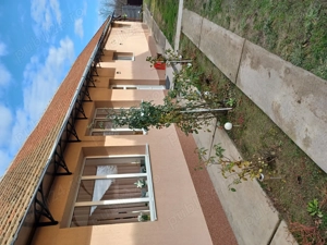 Casa cu 3 camere - imagine 2