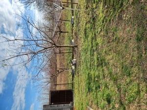 Casa cu 3 camere - imagine 4