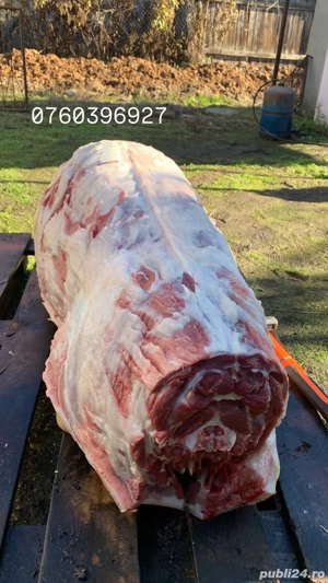 porci de carne bio asigur transport  - imagine 2