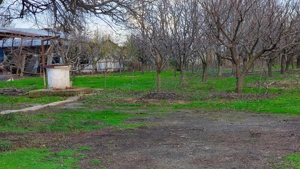 Livadă pe rod 2500 mp