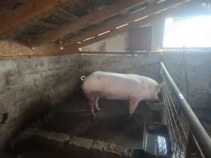 De vânzare Curtea de Argeș  - imagine 2