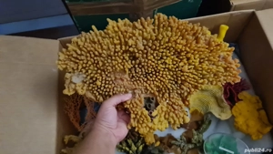 Corali artificiali pentru acvariu  - imagine 4