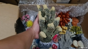 Corali artificiali pentru acvariu  - imagine 5