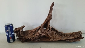 Buturuga lemn mangrove pentru acvariu