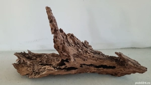 Buturuga lemn mangrove pentru acvariu - imagine 2