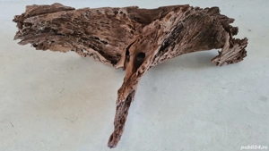 Buturuga lemn mangrove pentru acvariu - imagine 3