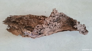 Buturuga lemn mangrove pentru acvariu - imagine 5