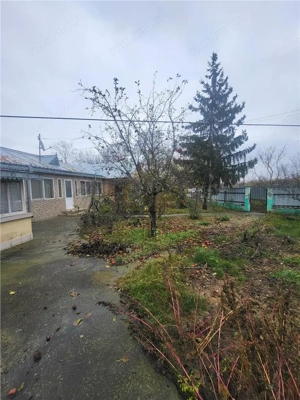 Casa Suraia teren 3471mp - imagine 5