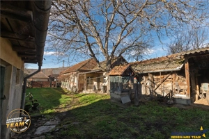 FILM! Domeniu de 6.221mp, livada pomi fructiferi+casa si anexe,Lemnia, Covasna - imagine 16